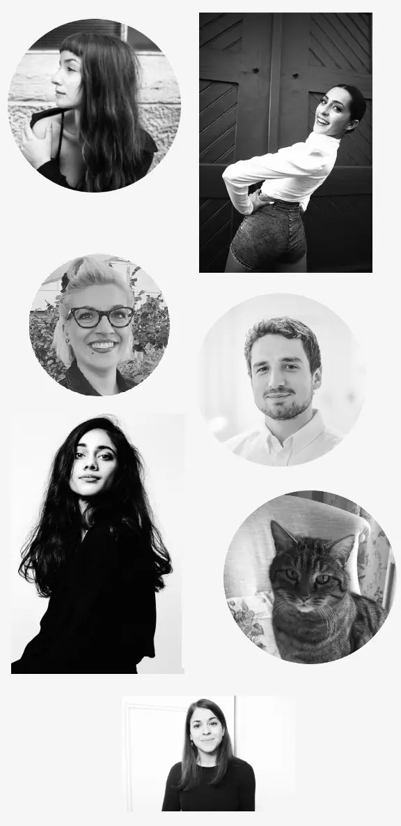 Our Team